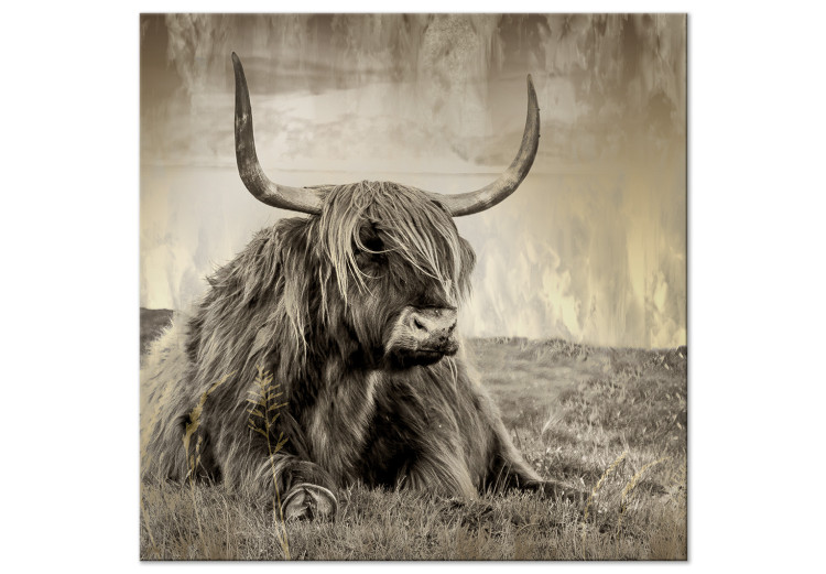 Canvas Art Print Rest in the Meadow (1-piece) Square - bull amidst nature in sepia 134701