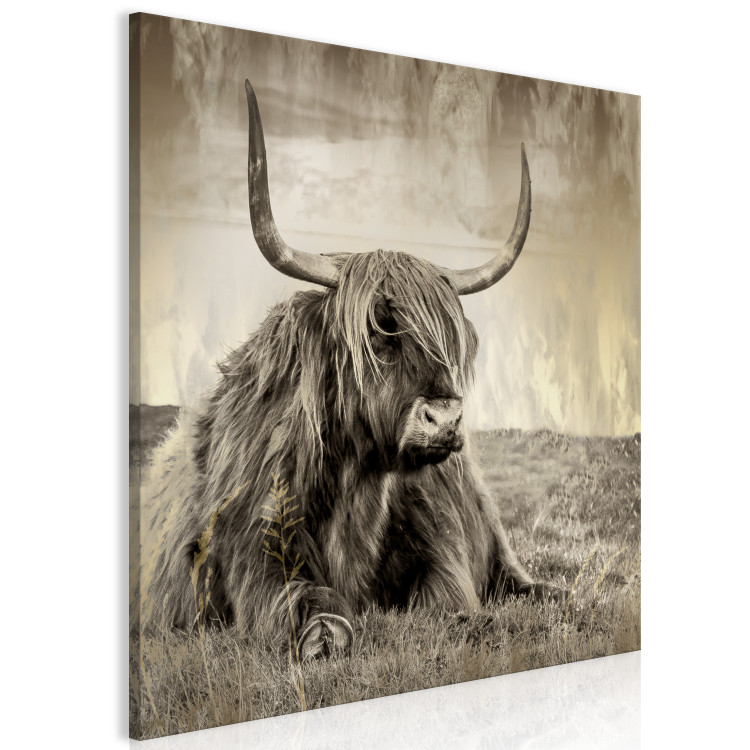 Canvas Art Print Rest in the Meadow (1-piece) Square - bull amidst nature in sepia 134701 additionalImage 2
