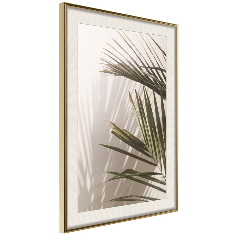Poster Palm Leaves - Sunny View With a Peaceful Play of Shade and Light 145301 additionalImage 14