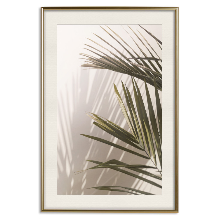 Poster Palm Leaves - Sunny View With a Peaceful Play of Shade and Light 145301 additionalImage 25