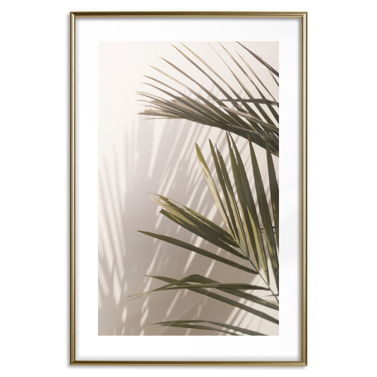 Poster Palm Leaves - Sunny View With a Peaceful Play of Shade and Light 145301 additionalImage 23