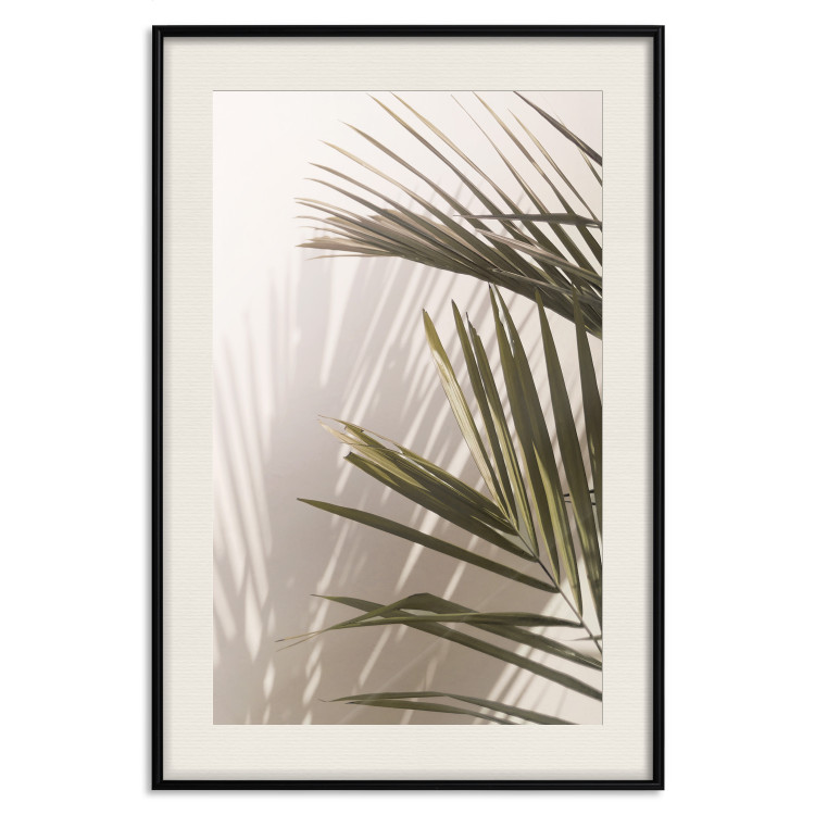 Poster Palm Leaves - Sunny View With a Peaceful Play of Shade and Light 145301 additionalImage 27