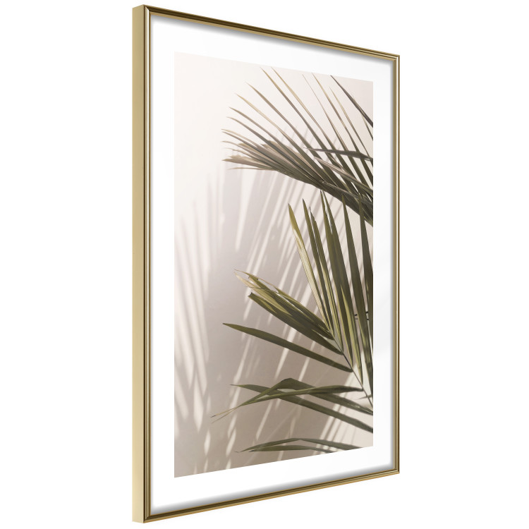 Poster Palm Leaves - Sunny View With a Peaceful Play of Shade and Light 145301 additionalImage 16