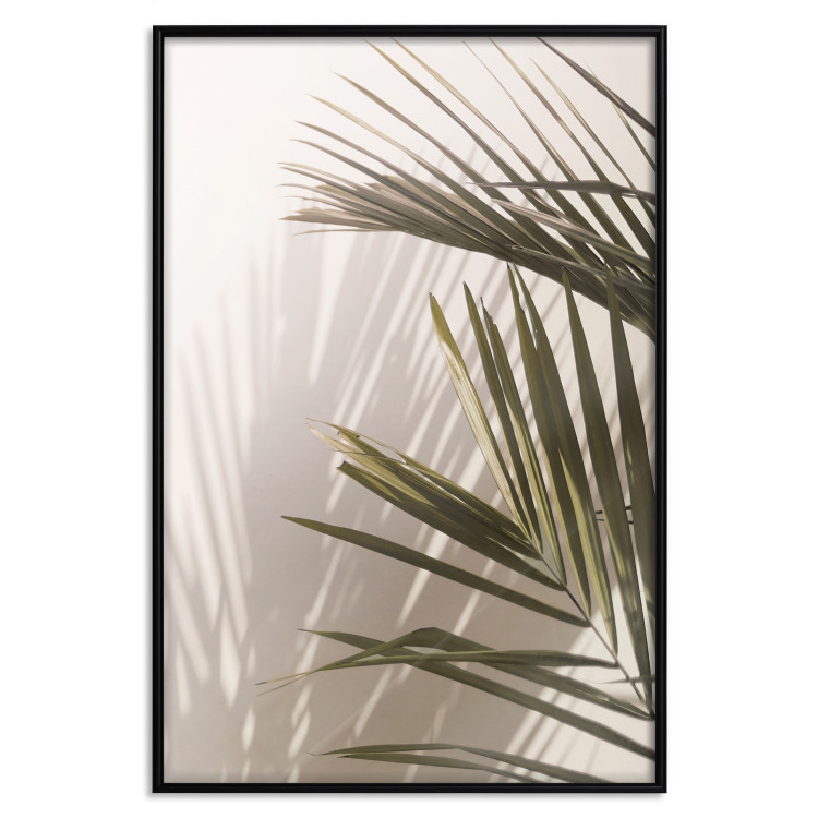 Poster Palm Leaves - Sunny View With a Peaceful Play of Shade and Light 145301 additionalImage 21