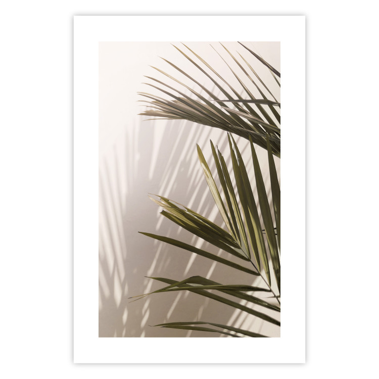 Poster Palm Leaves - Sunny View With a Peaceful Play of Shade and Light 145301 additionalImage 26