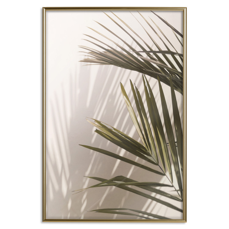 Poster Palm Leaves - Sunny View With a Peaceful Play of Shade and Light 145301 additionalImage 22