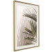 Poster Palm Leaves - Sunny View With a Peaceful Play of Shade and Light 145301 additionalThumb 14
