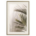 Poster Palm Leaves - Sunny View With a Peaceful Play of Shade and Light 145301 additionalThumb 25