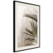 Poster Palm Leaves - Sunny View With a Peaceful Play of Shade and Light 145301 additionalThumb 12