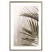 Poster Palm Leaves - Sunny View With a Peaceful Play of Shade and Light 145301 additionalThumb 23