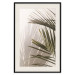 Poster Palm Leaves - Sunny View With a Peaceful Play of Shade and Light 145301 additionalThumb 27