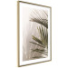 Poster Palm Leaves - Sunny View With a Peaceful Play of Shade and Light 145301 additionalThumb 16