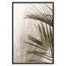 Poster Palm Leaves - Sunny View With a Peaceful Play of Shade and Light 145301 additionalThumb 21