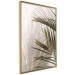 Poster Palm Leaves - Sunny View With a Peaceful Play of Shade and Light 145301 additionalThumb 7