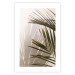 Poster Palm Leaves - Sunny View With a Peaceful Play of Shade and Light 145301 additionalThumb 26
