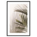 Poster Palm Leaves - Sunny View With a Peaceful Play of Shade and Light 145301 additionalThumb 4