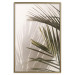 Poster Palm Leaves - Sunny View With a Peaceful Play of Shade and Light 145301 additionalThumb 22