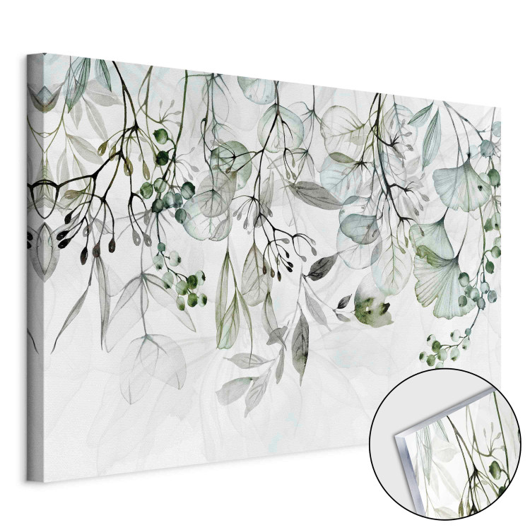 Acrylic print Watercolor Leaves - Green Flowers and Fruits on White Background [Glass] 151501