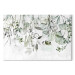 Acrylic print Watercolor Leaves - Green Flowers and Fruits on White Background [Glass] 151501 additionalThumb 2