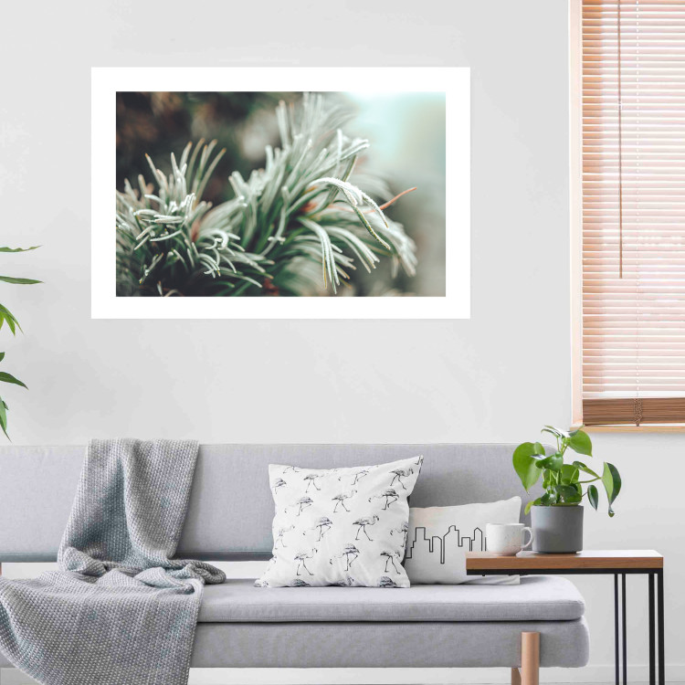 Wall Poster Winter Charm - A Photograph of a Coniferous Twig Covered in Frost 151701 additionalImage 16