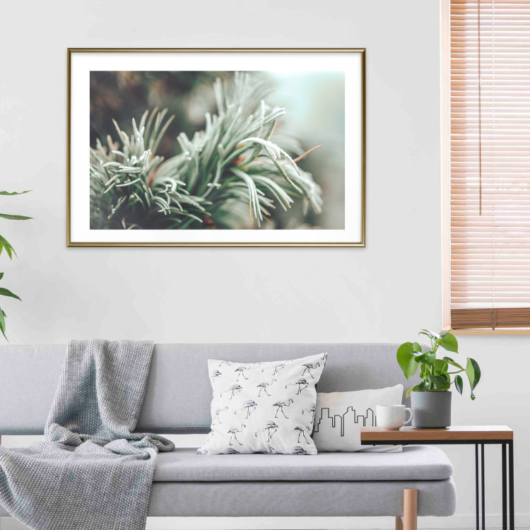Wall Poster Winter Charm - A Photograph of a Coniferous Twig Covered in Frost 151701 additionalImage 7