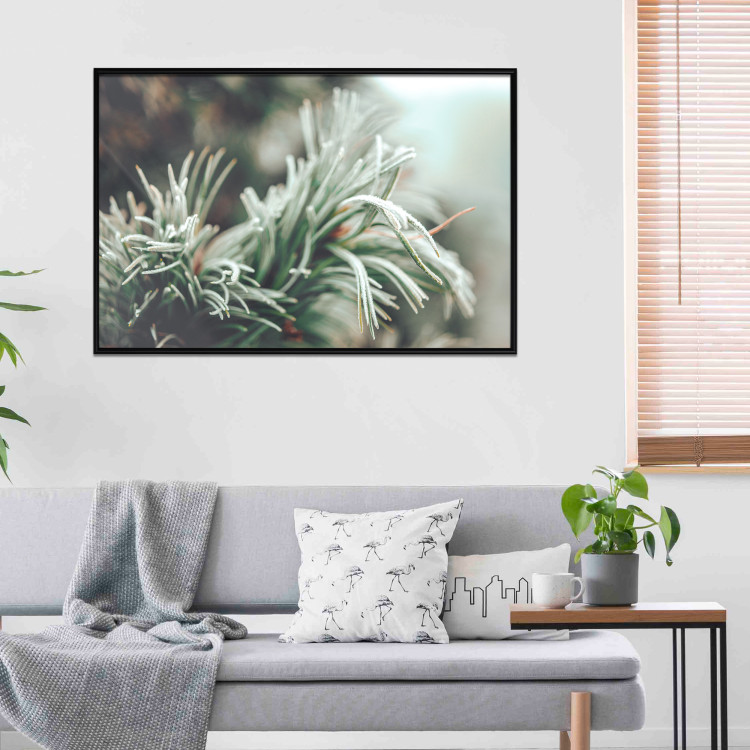 Wall Poster Winter Charm - A Photograph of a Coniferous Twig Covered in Frost 151701 additionalImage 12