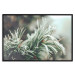 Wall Poster Winter Charm - A Photograph of a Coniferous Twig Covered in Frost 151701 additionalThumb 15