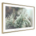 Wall Poster Winter Charm - A Photograph of a Coniferous Twig Covered in Frost 151701 additionalThumb 20