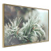 Wall Poster Winter Charm - A Photograph of a Coniferous Twig Covered in Frost 151701 additionalThumb 6