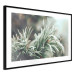 Wall Poster Winter Charm - A Photograph of a Coniferous Twig Covered in Frost 151701 additionalThumb 8