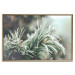 Wall Poster Winter Charm - A Photograph of a Coniferous Twig Covered in Frost 151701 additionalThumb 17