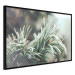 Wall Poster Winter Charm - A Photograph of a Coniferous Twig Covered in Frost 151701 additionalThumb 5