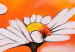 Canvas Daisies (3-piece) - Flower composition on a summer-coloured background 48601 additionalThumb 2