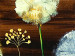 Canvas Print Dandelion kites 48701 additionalThumb 3