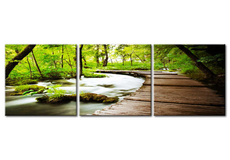 Canvas Print Forest Brook 58501