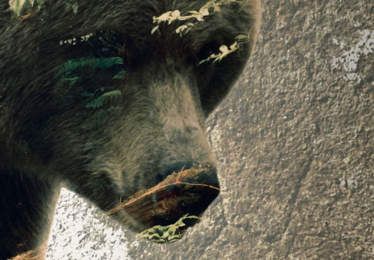 Canvas Print The Bear in the Forest 61901 additionalImage 5