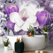 Wall Mural Magnolias - purple flowers on a fuzzy background with a soft glow 89801 additionalThumb 8