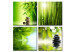 Print On Glass Green Zen [Glass] 92801 additionalThumb 2
