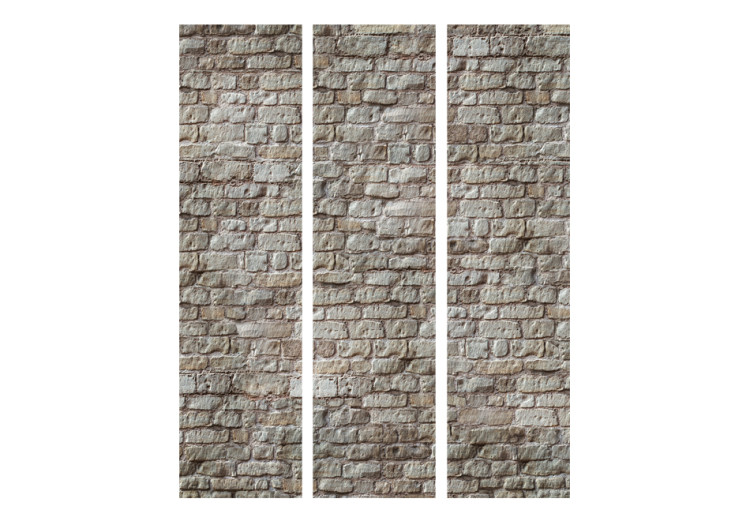 Folding Screen Reality - architectural texture of brick with urban motif 95501 additionalImage 3