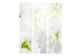 Folding Screen Jasmine - romantic lily flower with green details on a white background 95601 additionalThumb 3
