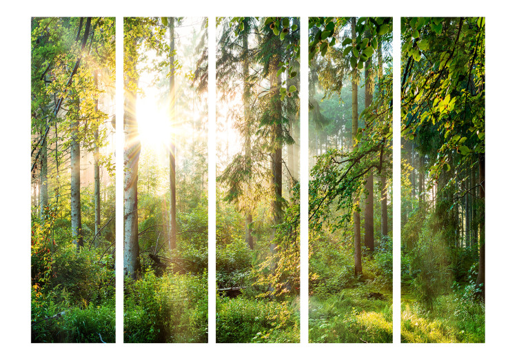 Room Separator Untamed Nature II - forest landscape against sunlight 108411 additionalImage 3