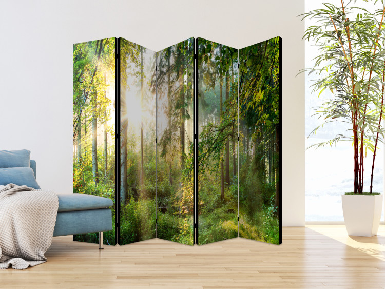 Room Separator Untamed Nature II - forest landscape against sunlight 108411 additionalImage 2