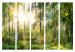 Room Separator Untamed Nature II - forest landscape against sunlight 108411 additionalThumb 7