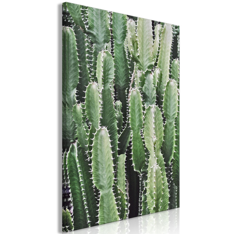 Canvas Print Cactus Garden (1 Part) Vertical 117111 additionalImage 2