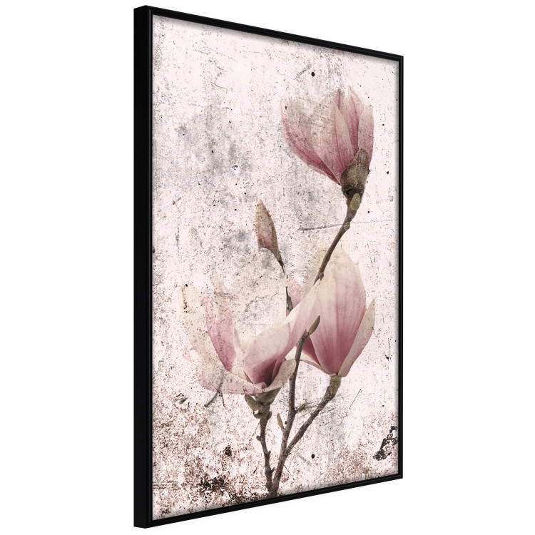 Poster Mature Magnolia - vintage composition with flowers on a pastel background 118611 additionalImage 10