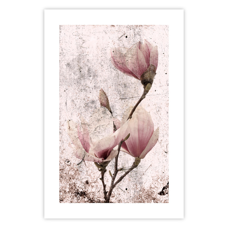 Poster Mature Magnolia - vintage composition with flowers on a pastel background 118611 additionalImage 19