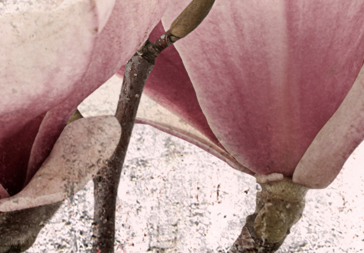 Poster Mature Magnolia - vintage composition with flowers on a pastel background 118611 additionalImage 8
