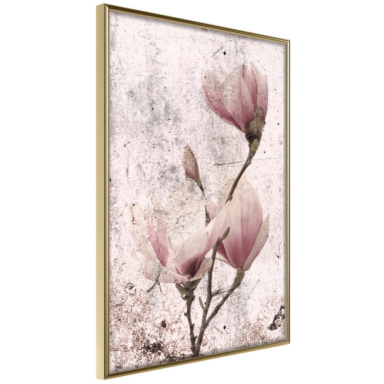 Poster Mature Magnolia - vintage composition with flowers on a pastel background 118611 additionalImage 12