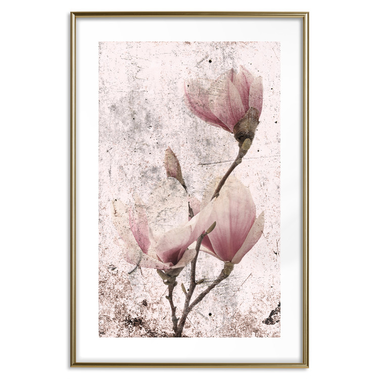 Poster Mature Magnolia - vintage composition with flowers on a pastel background 118611 additionalImage 14