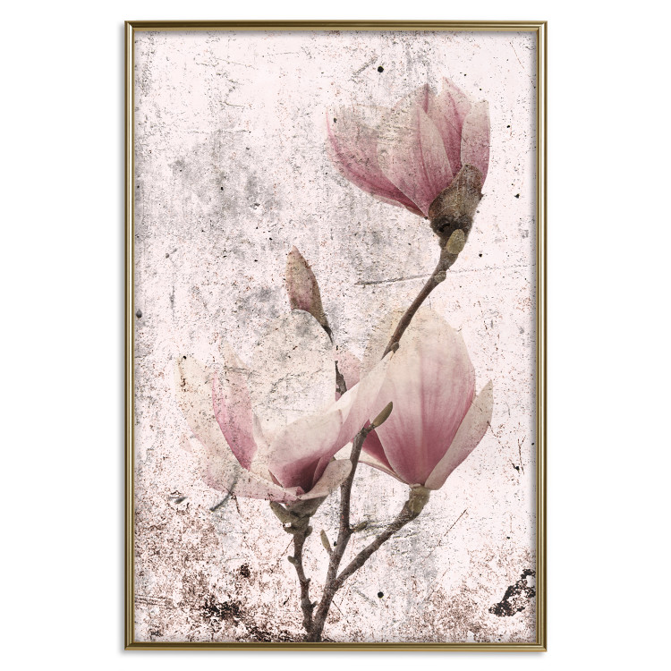Poster Mature Magnolia - vintage composition with flowers on a pastel background 118611 additionalImage 20